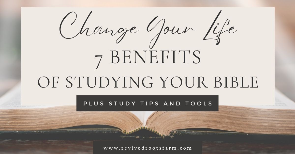 Discovering the Scriptures: 7 Amazing Benefits of Studying the Bible